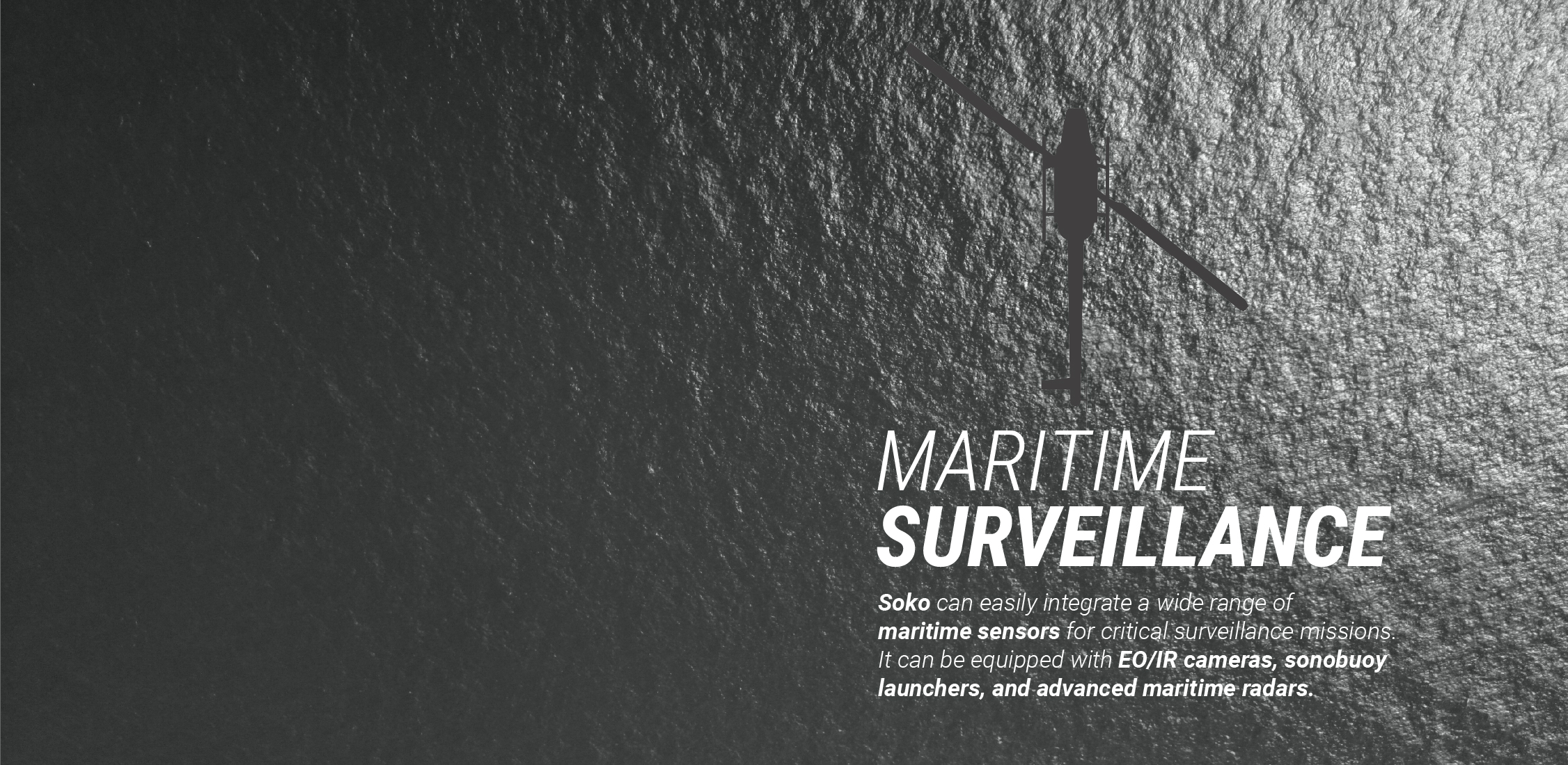 MARITIME SURVEILLANCE BN