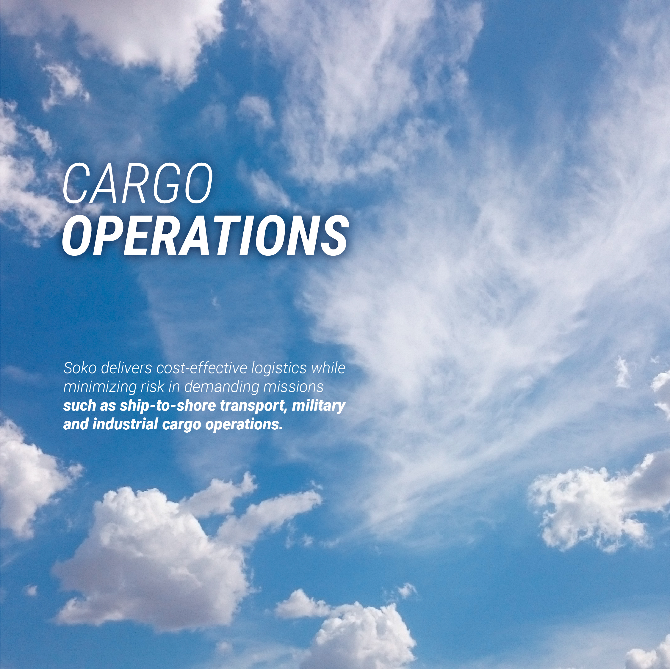 RESPONSIVE CARGO OPERATIONS