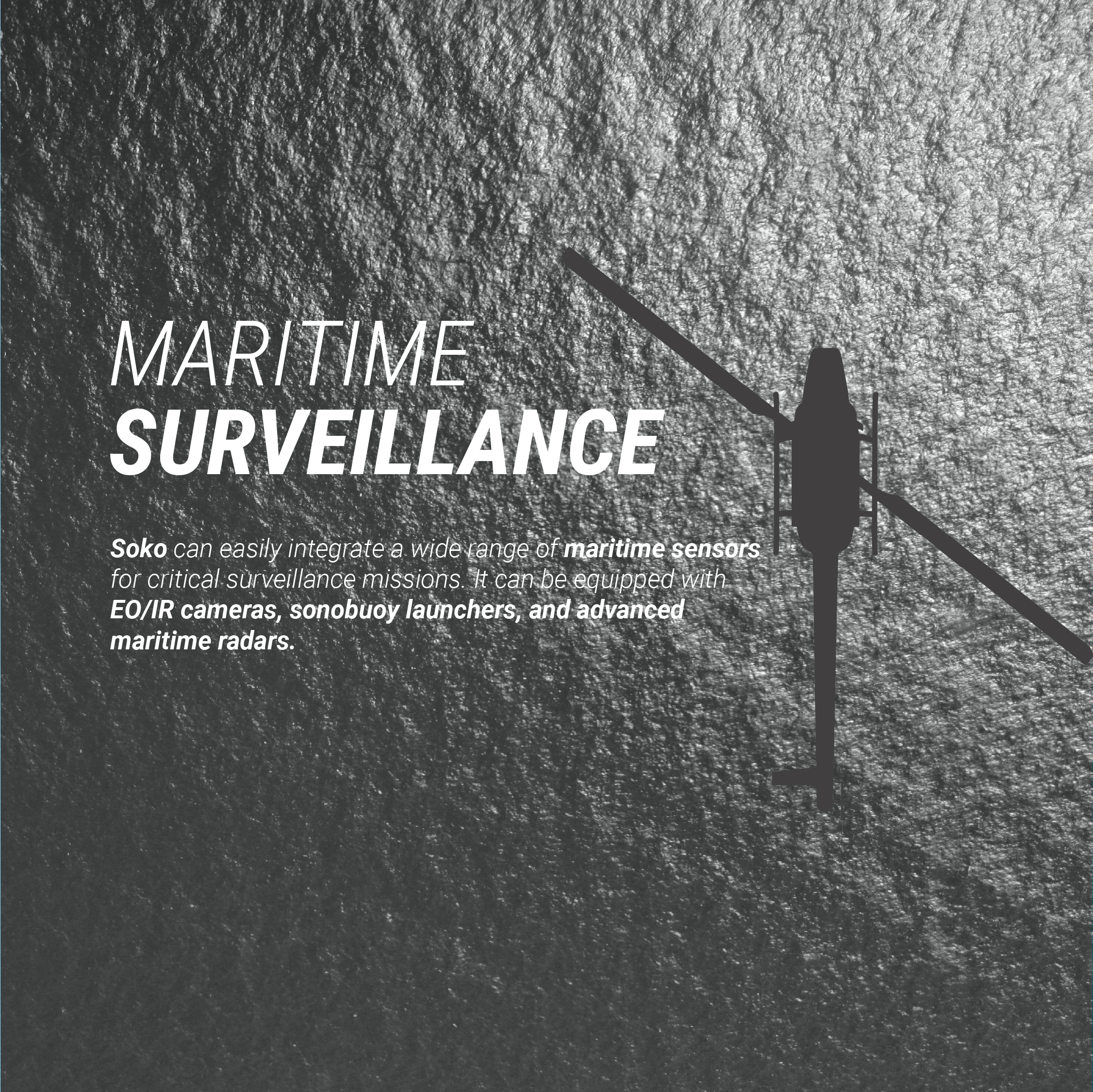 RESPONSIVE MARITIME SURVEILLANCE BN